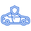 Section Icon